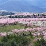 Hiking holiday spain, Jalon and Lliber valley